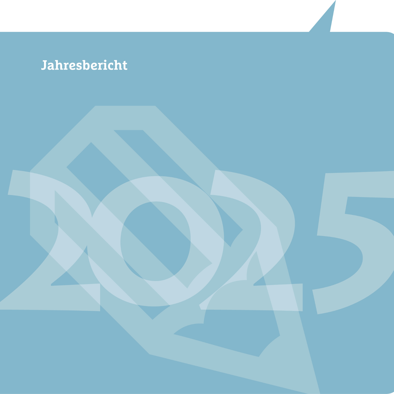 Jahresberichtslogo 2025